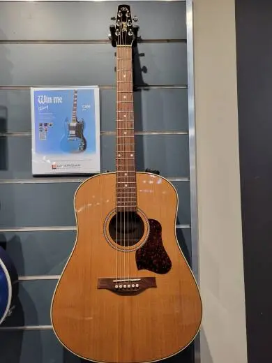 Seagull Guitars - S42494