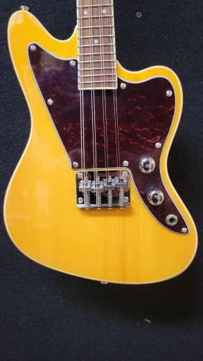 Revelation Jaguar Mando 4