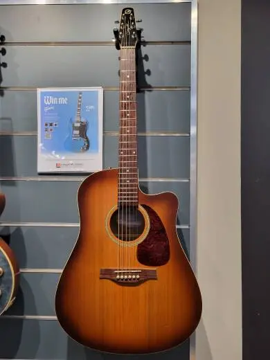 SEAGULL ENTOURAGE RUSTIC CW QI