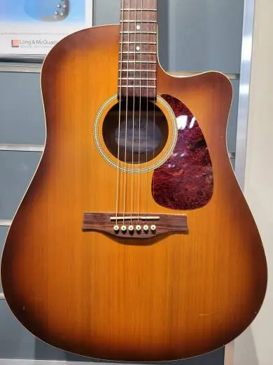 SEAGULL ENTOURAGE RUSTIC CW QI 2