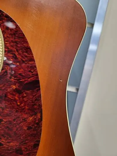 SEAGULL ENTOURAGE RUSTIC CW QI 2