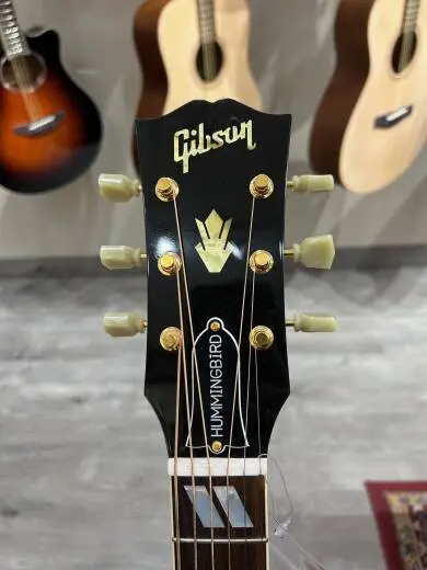 Gibson - ACOHBHCGH 2