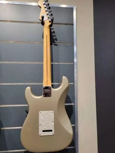 FENDER AM STRAT TX SPCL RW SHG 2