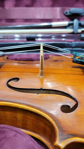 EASTMAN KLIER GUARNERI 4/4 OUTFIT - VL702 2