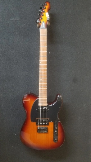 ESP LTD TE-200 R TSB