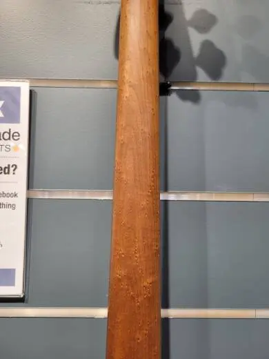 CONT ACT P BASS PH LRL BPG SSM 2