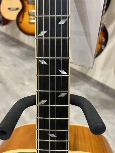 Epiphone - ETZCNANH 2