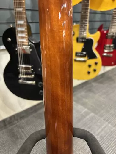Epiphone - EILJVSNH 2