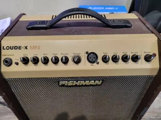 Fishman - PRO-LBX-500 - LOUDBOX MINI 60W 2