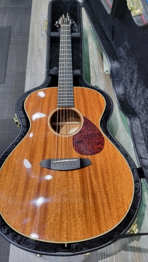 BREEDLOVE FRONTIER CONCERT E MAHOGANY 2