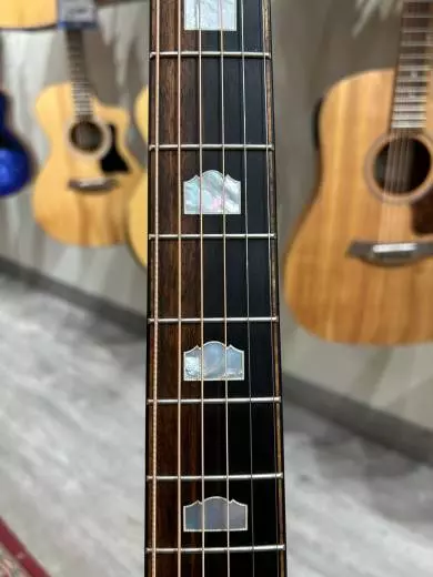 Taylor Guitars - 618E 2