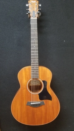 TAYLOR GS MINI MAHOG/SAPELE W/GIGBAG