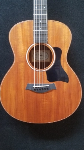TAYLOR GS MINI MAHOG/SAPELE W/GIGBAG 6