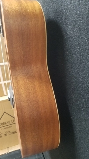 TAYLOR GS MINI MAHOG/SAPELE W/GIGBAG 5