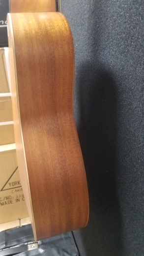 TAYLOR GS MINI MAHOG/SAPELE W/GIGBAG 4
