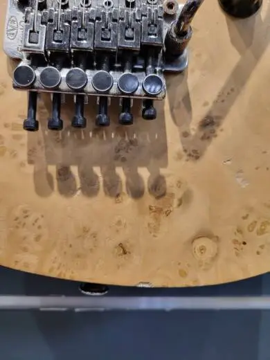 EVH WG STD EXOTIC BKD MPL LAUREL BURL 2