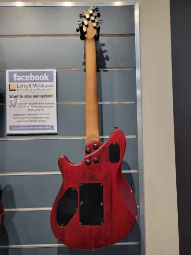 EVH WG STD EXOTIC BKD MPL LAUREL BURL 2