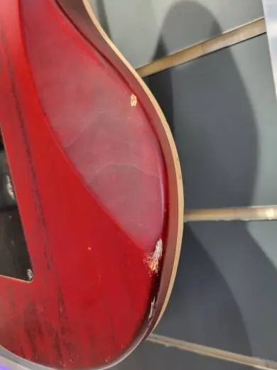 EVH WG STD EXOTIC BKD MPL LAUREL BURL 2