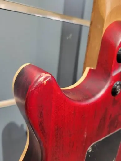 EVH WG STD EXOTIC BKD MPL LAUREL BURL 2