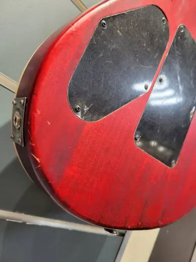 EVH WG STD EXOTIC BKD MPL LAUREL BURL 2