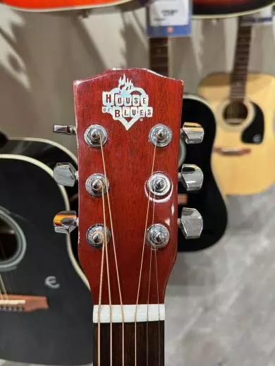 Washburn House of Blues Acoustic 2