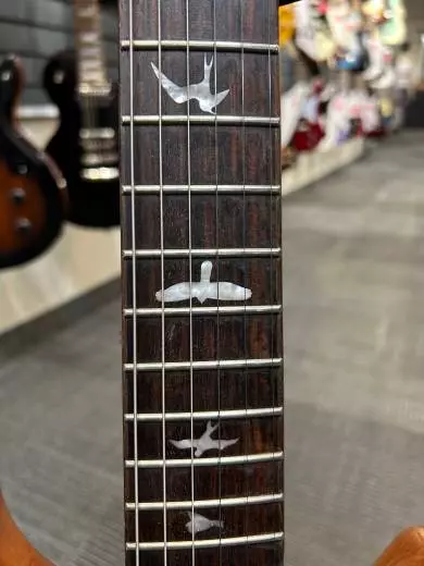 PRS Guitars - 107993:DC 2