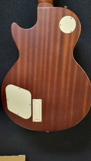 EPI LP TRADITIONAL PRO 2 DESERT BURST 5