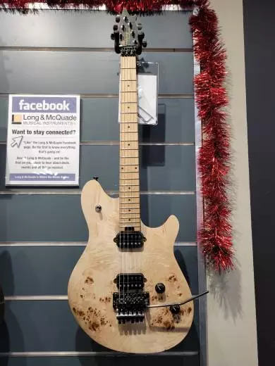 EVH WG STD EXOTIC BKD MPL POPLAR BURL