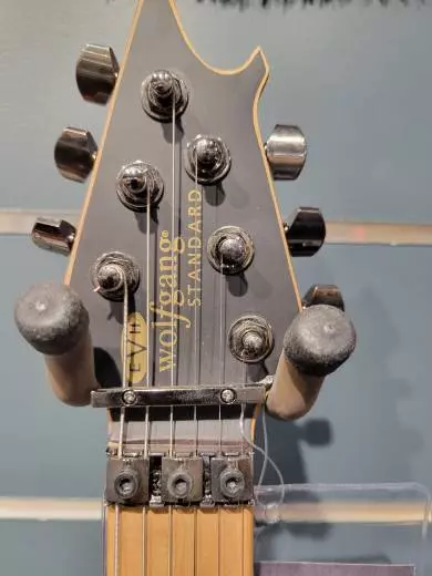 EVH WG STD EXOTIC BKD MPL POPLAR BURL 2