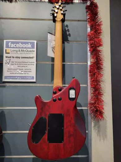 EVH WG STD EXOTIC BKD MPL POPLAR BURL 2