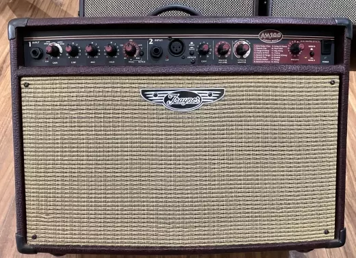 Yorkville AM100 100w acoustic amp