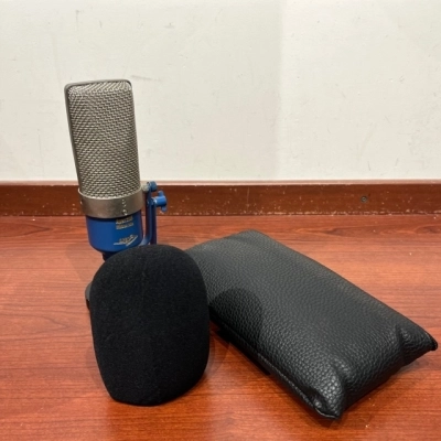 Apex - APEX205 Ribbon Microphone 3