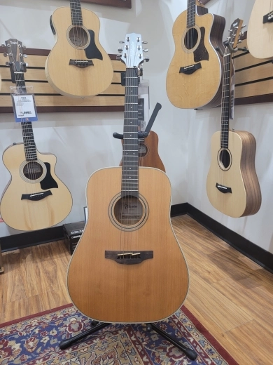 Takamine - GD20-NS