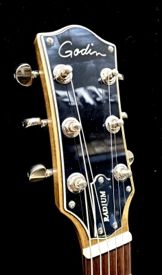 Store Special Product - Godin Guitars - Radium