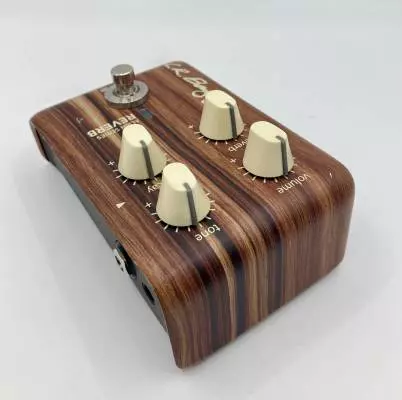 L.R Baggs Align reveb pedal 2