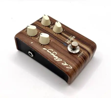 Store Special Product - L.R Baggs ALIGN REVERB