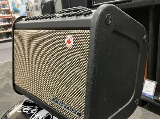 Traynor Acoustic Master Mini 65 watt acoustic guitar amp 2