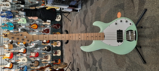Sterling by Music Man - RAY5-MG-M1