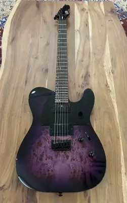 ESP LTD TE200DX in Purple Burst