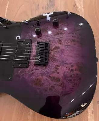 ESP LTD TE200DX in Purple Burst 3