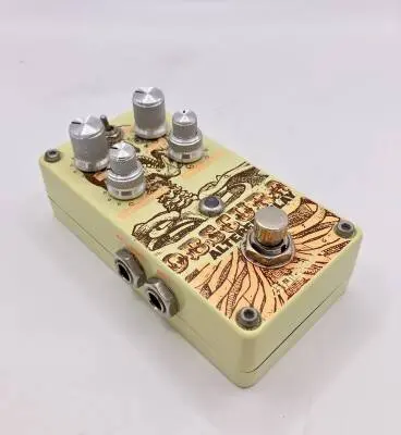 Digitech OBSCURA  Altered delay pedal 2
