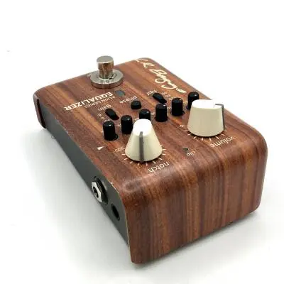 L.R Baggs LR ALIGN EQ 2