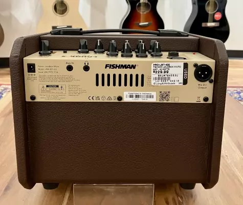 Fishman Loudbox Micro 40 watt acoustic amp 2