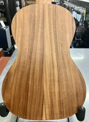 Store Special Product - Denver Guitalele w/bag
