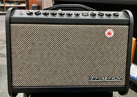 Traynor Acoustic Master Mini 65 watt acoustic guitar amp