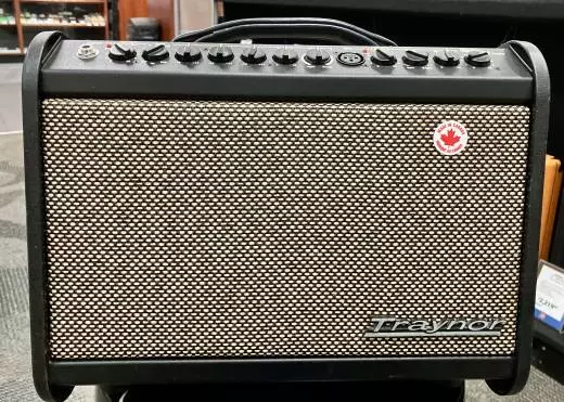 Traynor Acoustic Master Mini 65 watt acoustic guitar amp