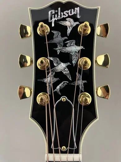 Gibson 