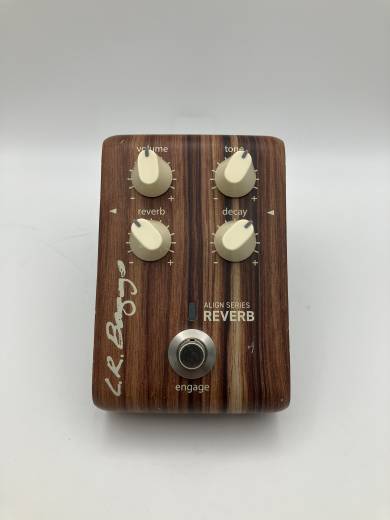 L.R Baggs Align Series Reverb Acoustic Pedal | Long & McQuade