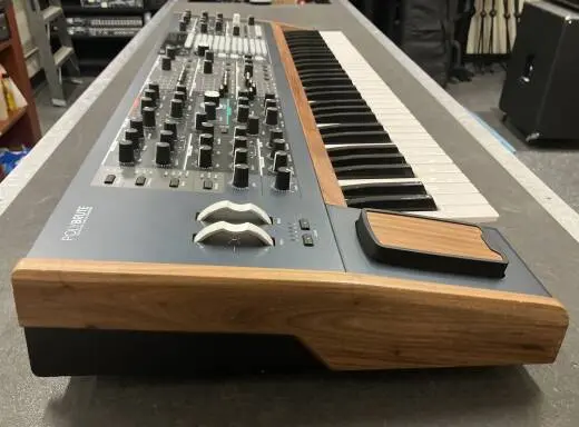 Arturia POLYBRUTE 6 voice poly synth 2