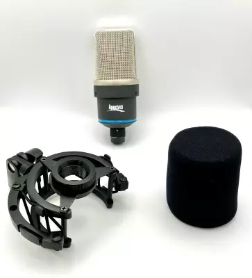Apex540 large diaphragm condenser mic 2